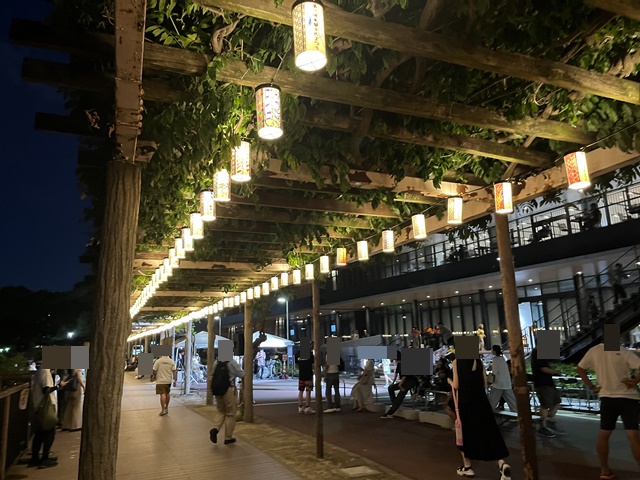 藤だな通りの籠染灯籠ランタン写真