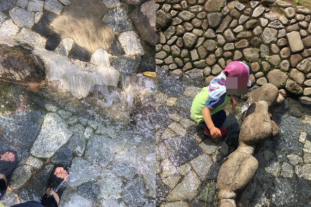 花田第二公園の小川