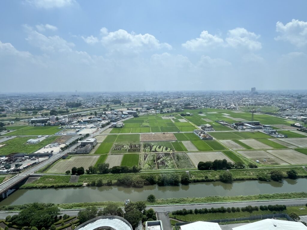 越谷田んぼアート2025