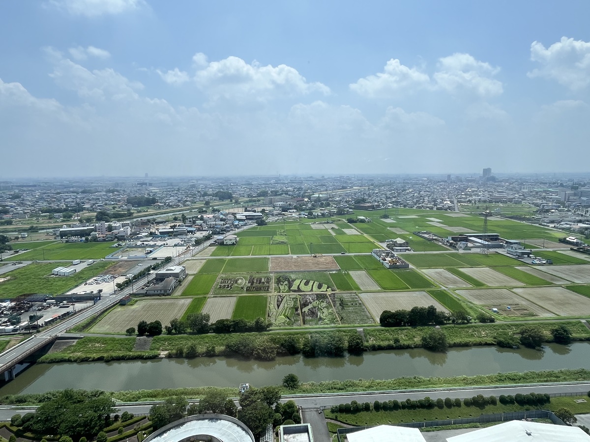 越谷田んぼアート2025
